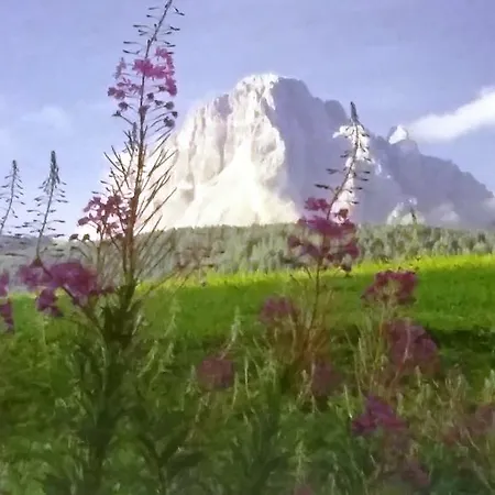 Emilia 3*